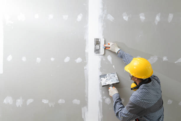 Best Mold-Related Health Consultation  in Fort Loramie, OH