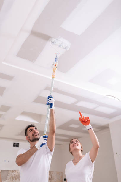 Fort Loramie, OH Mold Removal Company