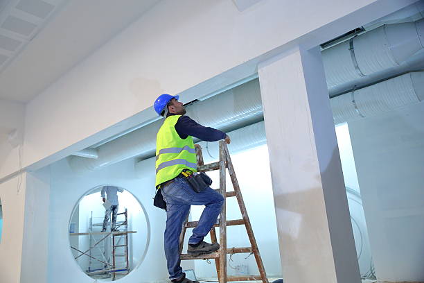 Best Mold Damage Restoration  in Fort Loramie, OH